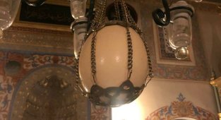 Devekuşu yumurtası