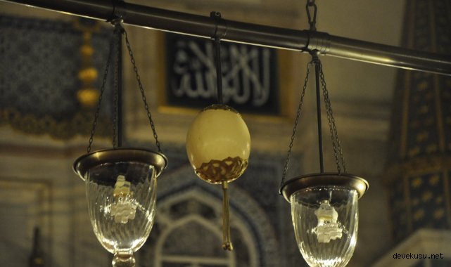 Deve Kuşu Yumurtası Nasıl Kullanılır