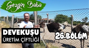 Hasmera Devekuşu Çiftliği | Ezine Gökçebayır Köyü | Devekuşu Yumurtası | Gezgin Baba | 26.Bölüm