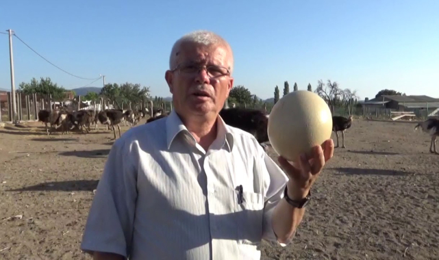 Deve kuşu Eti derisi yumurtası çok kıymetli