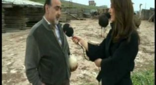 Hasmera Devekuşu Çiftliği