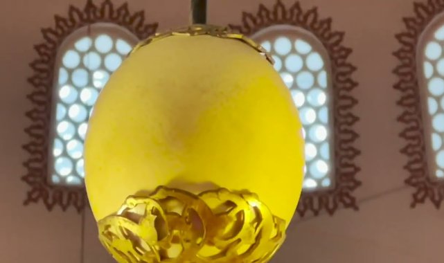 Talha Uğurluel - Haşere Kovucu Deve kuşu yumurtası